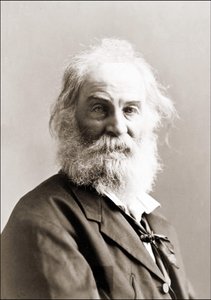 Portrait of Walt Whitman by Gurney Between 1880 and 1890 by Jeremiah Gurney