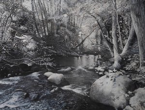 Riverscapes, 2024