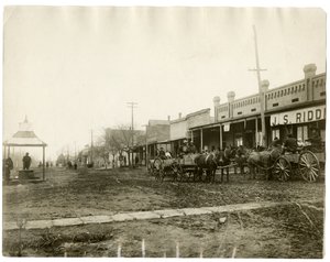 Arkansas 1903 by Jessie Tarbox Beals