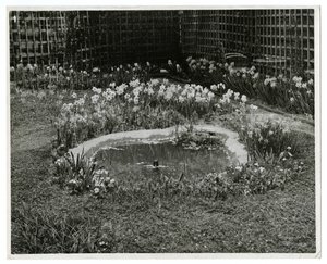Garden of Mr & Mrs Wm H Wells 265 W 11th St, New York, USA by Jessie Tarbox Beals