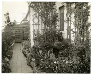 Garden of Mrs Regina Jais, c.1936-37 by Jessie Tarbox Beals