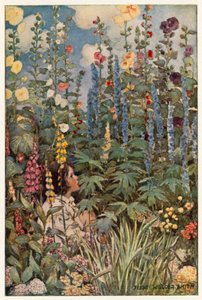 The Flowers