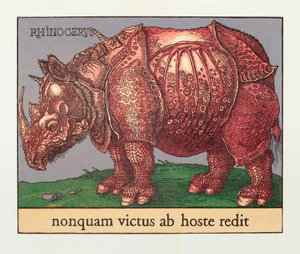 Red Rhino, 2007 by Jim Monson