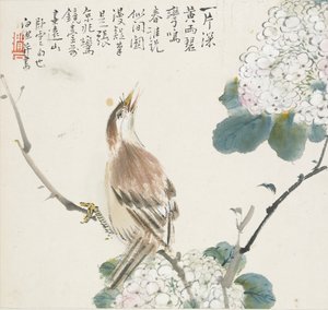 A Chinese Hwamei, 1857