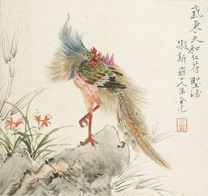 A Phoenix Standing on a Rock