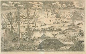 The Whale Fishery by Joachim Wichmann