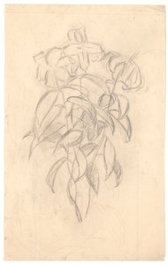Flower Study by Joakim Frederik Skovgaard