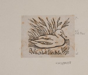 A Duck