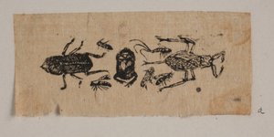 Insect