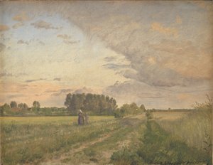 Summer Landscape