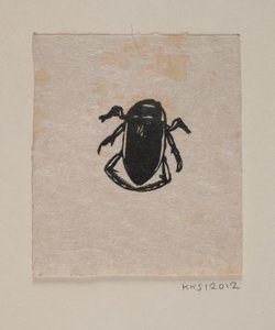 Water Beetle by Joakim Frederik Skovgaard