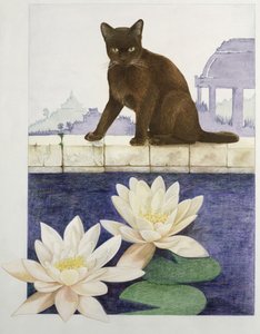 Burmese by Joan Freestone