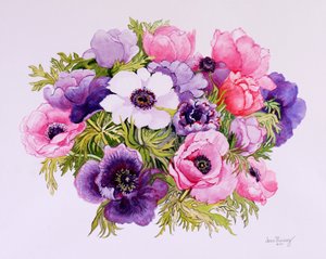 Anemones