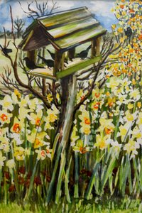 Daffodils and Birds in the Birdhouse