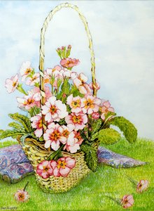 Pink Primroses in a Florist