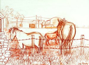 Serenade, Janie and a Donkey in the Meadow