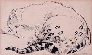 Sketch, Leopard, London Zoo 2005 by Joan Thewsey