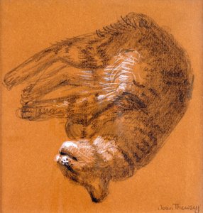Sleeping Tabby Cat, 2005 by Joan Thewsey