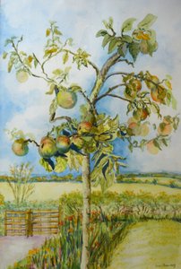 The Apple Tree, 2001 by Joan Thewsey