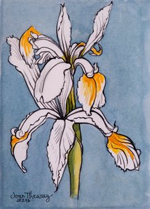 Two Irises