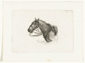 Horse Head to the Left by Joannes Bemme