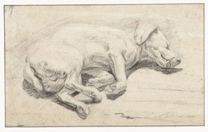 Lying Dog, Sleeping