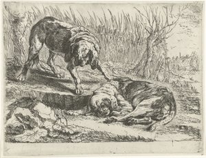 Two Dogs