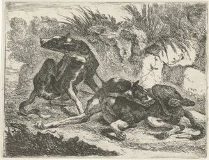 Two Dogs