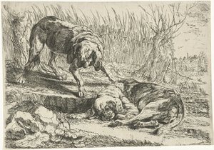 Two dogs, Dogs (series title)