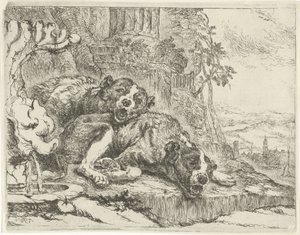 Two Lying Dogs