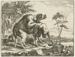 Two Mating Dogs