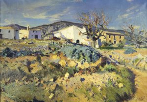 The Malice of Magí by Joaquim Mir i Trinxet