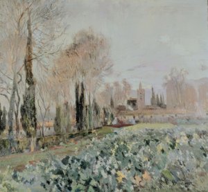 Landscape