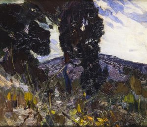 Landscape by Joaquim Mir i Trinxet