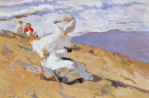 Capture The Moment by Joaquín Sorolla