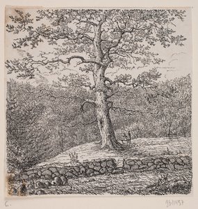 Niels Ebbesen