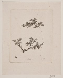 Two Tree Branches by Johan Bülow