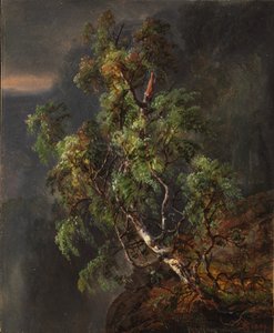 Birch Tree in a Storm by Johan Christian Dahl
