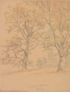 Two Oak Trees with Autumn Leaves by Johan Christian Dahl
