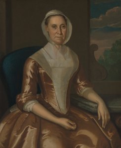 Mrs. Richard Galloway, 1764