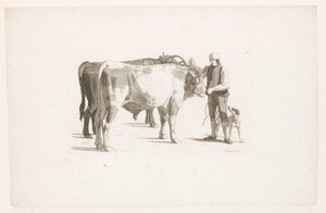 Man and a Dog Next to Two Oxen with a Yoke