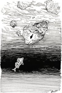 Fish Under Plastic by Johan Liewendahl