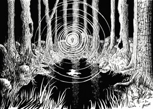 Mystical Forest Ripples by Johan Liewendahl