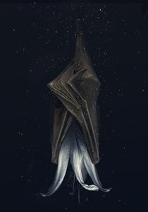 Mutated Lily