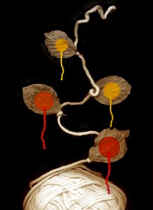 Yarn bloom