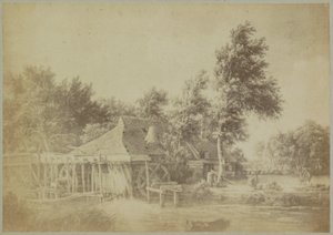 Photoreproduction of the Painting 