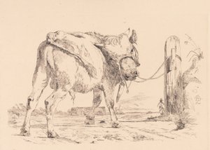 A Bull Calf Tied to a Hitching Post by Johan Thomas Lundbye