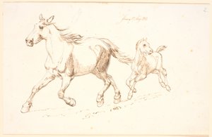 Galloping Mare with Foal