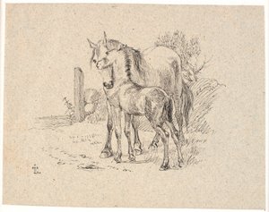 The Horse and the Foal