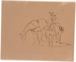 Horse Team
